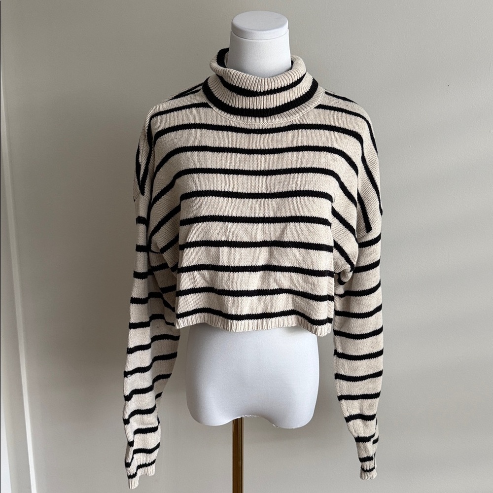 Striped Turtleneck Sweater - Black and Cream